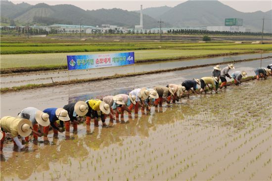 봄은 일자리로다… 5월 실업률 '뚝'