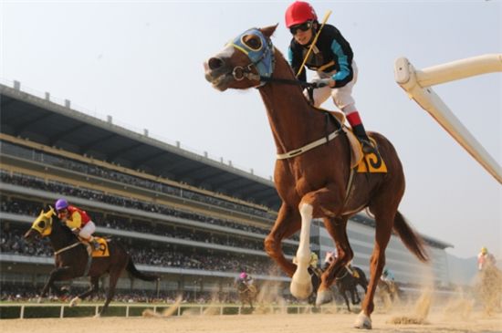 [주말레이싱] 7세 노장마 '굿데이', 출발이 관건