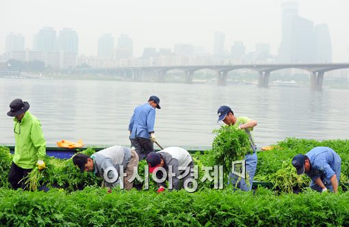 [포토] '한강도 깨끗하고 어려운 이웃도 돕고'