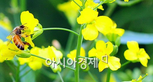 [포토] '숨 막히는 더위속에서도..'