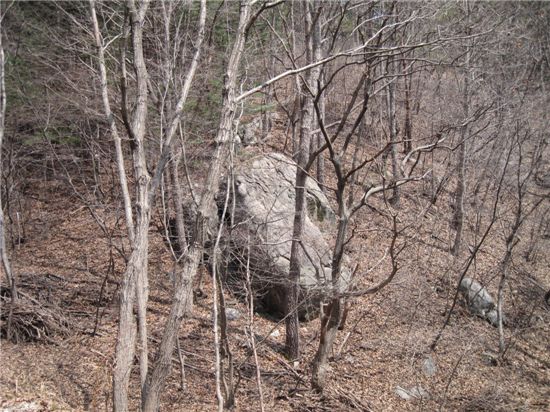 청양에서 발견된 ‘용호장군 잉태바위’와 '애기바위' 모습. 