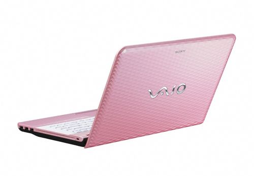 소니, 2011년형 바이오 E시리즈 출시