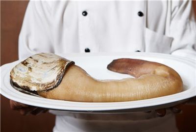 "구이덕 샤브샤브 맛좀 보실래요?" 신라호텔 김경룡 팀장