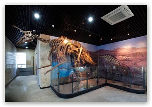 한반도 공룡이 깨어난다, '쥬라기 공원' 23일 개장