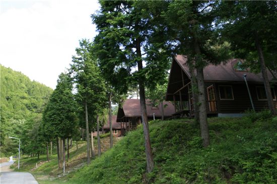 국립자연휴양림 8월분 다음달 4일부터 신청