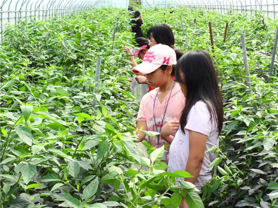 여름방학 암사동 선사주거지서 어부 돼 볼까?