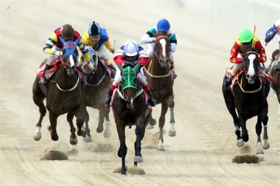 [주말레이싱] '금아챔프', 막판지구력 업그레이드 챔프 도전