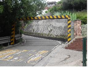 중구, 남산타운 옹벽에 나무 등 심어  