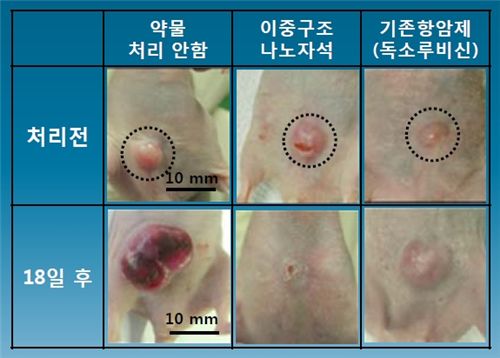 기존 항암제와 암 치료 효과 비교