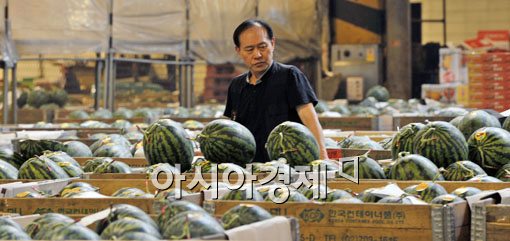 [포토] 비상걸린 과일 가격