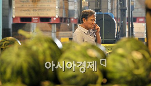 [포토] 비상걸린 과일 가격