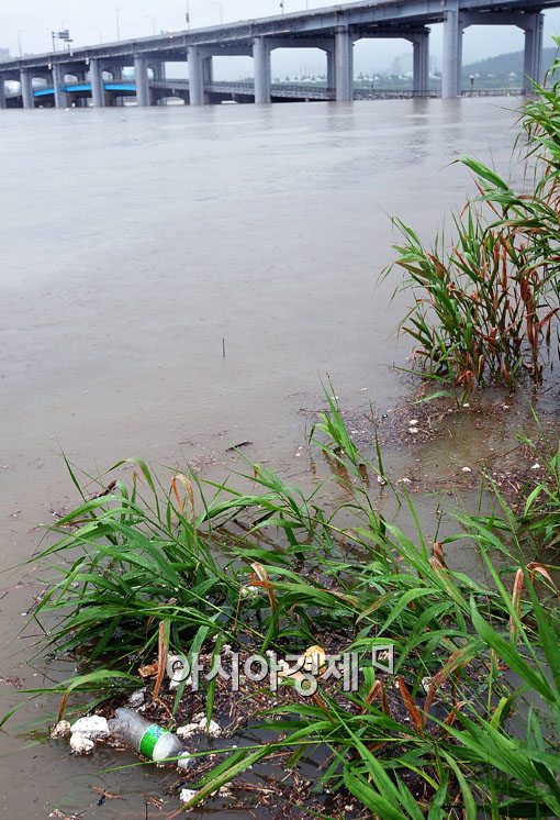 [포토] 쓰레기 떠다니는 한강