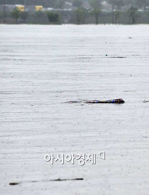 [포토] 쓰레기 떠다니는 한강