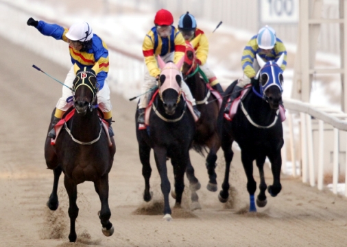 [주말레이싱] 3군 전승 '스위트프렌즈', 2군서도 통할까