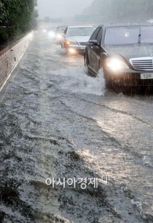 [포토]거북이 걸음 경부고속도로