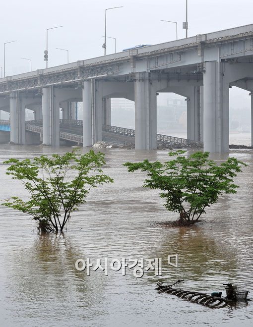 [포토] 물에 잠긴 한강시민공원