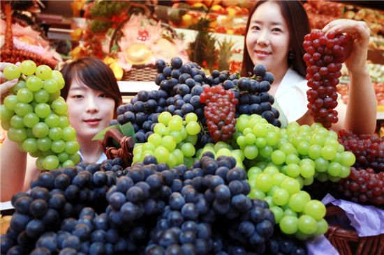 [포토]신세계, 산지포도 직송전