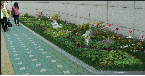 중부세무서 화단 