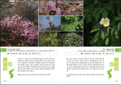 '북악의 나무와 풀' 도감 내지 지면내용
