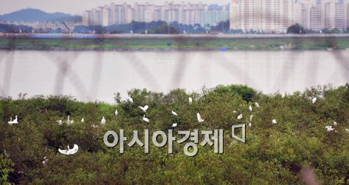 [포토] 휴식취하는 백로