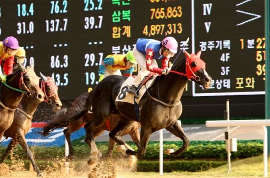 [주말레이싱] 마권도 '로또처럼' 자동선택 도입