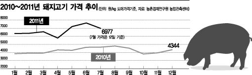 "날뛰던 삼겹살값, 한풀 꺾였네"