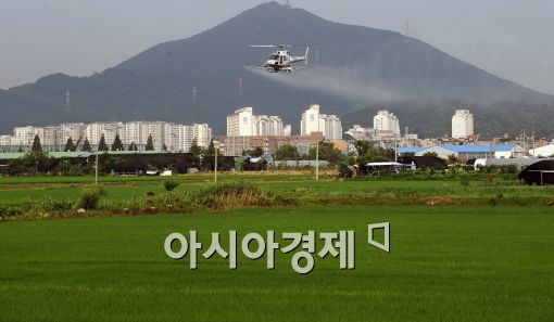 [포토]강서구, 김포평야 농약 살포
