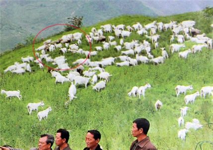 "北 김정일 자꾸 사진 조작하는 이유가…" 