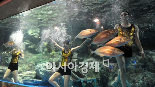[포토] "아쿠아 댄스 보려오세요"