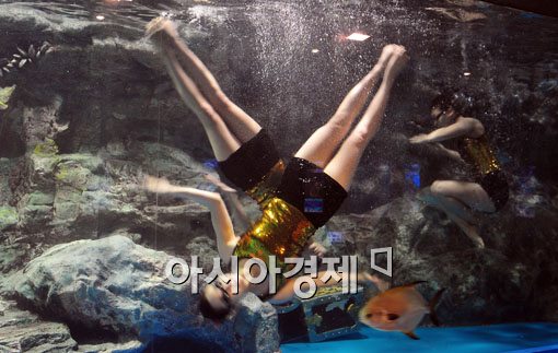 [포토] 신나는 아쿠아 댄싱 파티