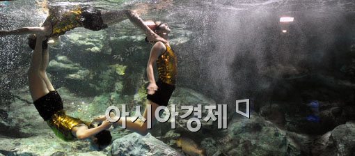 [포토] 신나는 수중 댄스 파티
