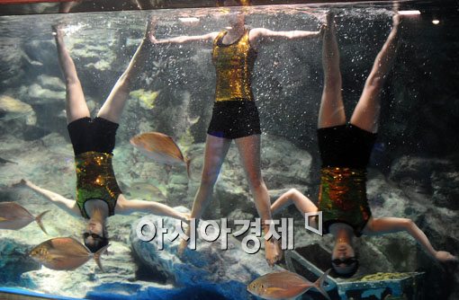 [포토] 아쿠아 댄싱 파티