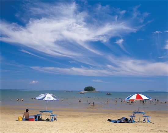 '제1회 서해안 해변축제'가 열리는 연포해수욕장 전경.