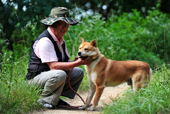 멸종위기 놓인 토종개 ‘댕견’, 대전 보문산서 키워져