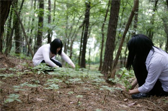 [여행]'깊은 산속 함양산삼 누가 와서 먹나요~'