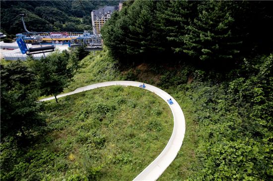 파인리조트에 가면 7가지 패키지가 와르르 