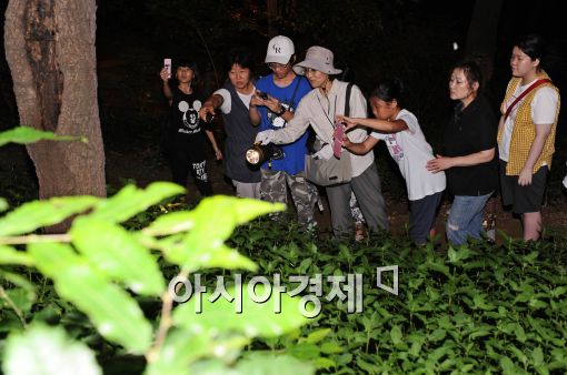 [포토]강동구의 여름밤!