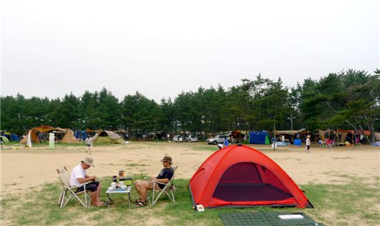 지금은 캠핑시대, 자연과의 오붓한 하룻밤