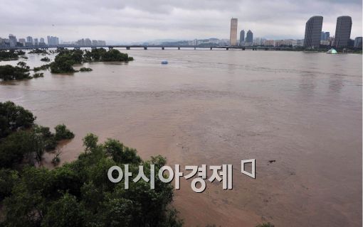 [포토]물에 잠긴 한강 밤섬