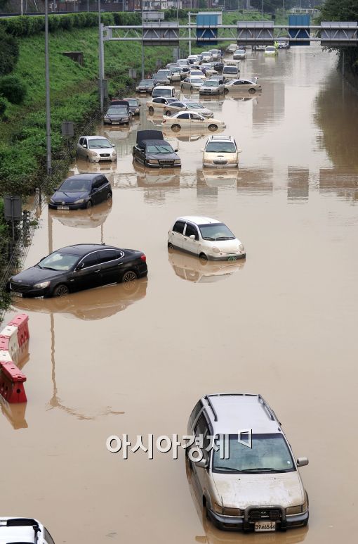 [포토]모습 드러낸 침수 차량들