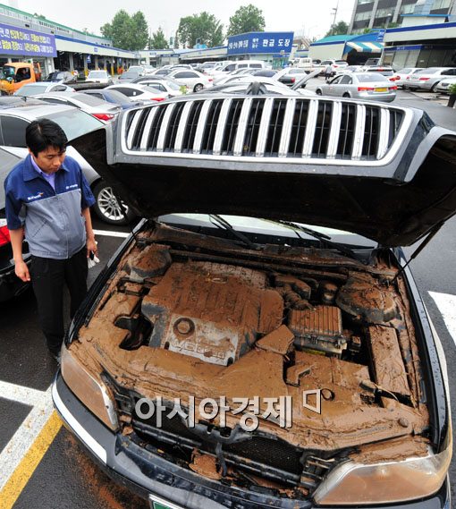 '침수 우려' 차량 강제 견인…'재난 및 안전관리 기본법' 공포