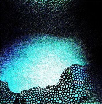 그레이스 림(Grace Rim) 作=Divine Tent, 41x40.5cm digital C-print, 2007
