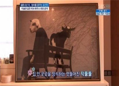 송선미 집공개, 럭셔리 인테리어…"미술관이야?" 