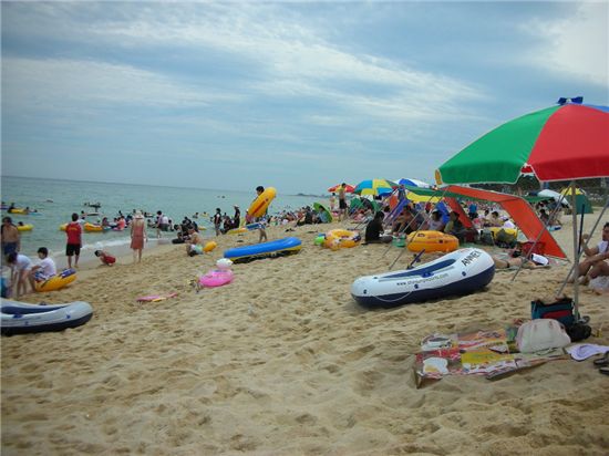 현대성우리조트, 셔틀버스 타고 산으로 바다로~