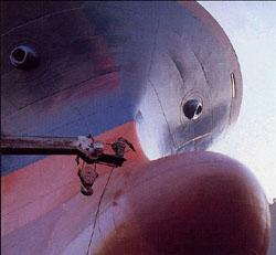 [배 이야기] ‘그린십’에는 ‘친환경 화장품’ 필수