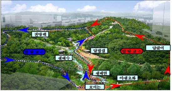 양천구, 여름날 숲속 여행 프로그램 운영 