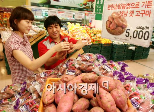 [포토]롯데마트, 햇고구마 33%가량 저렴하게 판매