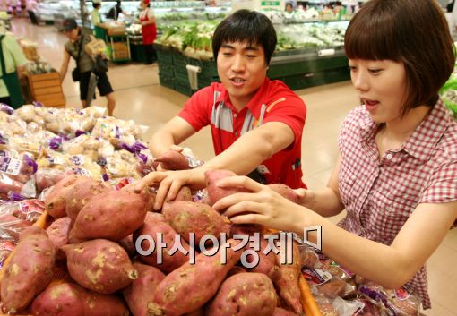 [포토]롯데마트, 햇 고구마 맛보세요!