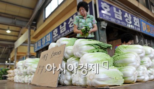 [포토]채소·과일값 폭등…벌써 추석 걱정