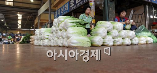 [포토]채소값 고공행진 썰렁한 시장